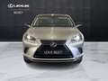 Lexus NX 300h NX 300h 2.5 Sport cvt Grigio - thumbnail 13