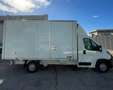 Peugeot Boxer 335 L4 2.2 BLUEHDI FURGONE BOX 3 POSTI - 2020 Wit - thumbnail 2