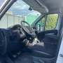 Peugeot Boxer 335 L4 2.2 BLUEHDI FURGONE BOX 3 POSTI - 2020 Wit - thumbnail 10