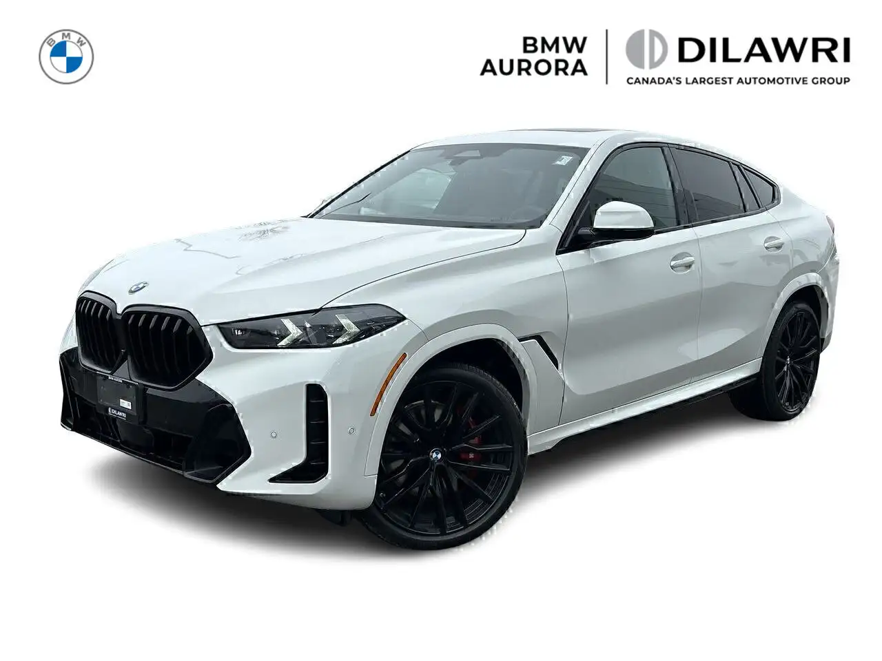 2026 BMW X6