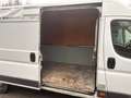 Fiat Ducato 150 (Rs: 4035 mm H:2,5m) L5H2 / AHK 3,5t / Klima Weiß - thumbnail 11