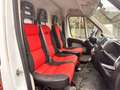 Fiat Ducato 150 (Rs: 4035 mm H:2,5m) L5H2 / AHK 3,5t / Klima Weiß - thumbnail 13