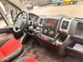 Fiat Ducato 150 (Rs: 4035 mm H:2,5m) L5H2 / AHK 3,5t / Klima Weiß - thumbnail 14
