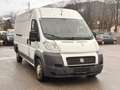 Fiat Ducato 150 (Rs: 4035 mm H:2,5m) L5H2 / AHK 3,5t / Klima Weiß - thumbnail 6