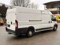 Fiat Ducato 150 (Rs: 4035 mm H:2,5m) L5H2 / AHK 3,5t / Klima Weiß - thumbnail 4