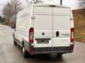 Fiat Ducato 150 (Rs: 4035 mm H:2,5m) L5H2 / AHK 3,5t / Klima Weiß - thumbnail 3