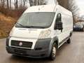 Fiat Ducato 150 (Rs: 4035 mm H:2,5m) L5H2 / AHK 3,5t / Klima Weiß - thumbnail 10