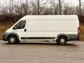 Fiat Ducato 150 (Rs: 4035 mm H:2,5m) L5H2 / AHK 3,5t / Klima Weiß - thumbnail 1