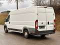 Fiat Ducato 150 (Rs: 4035 mm H:2,5m) L5H2 / AHK 3,5t / Klima Weiß - thumbnail 2