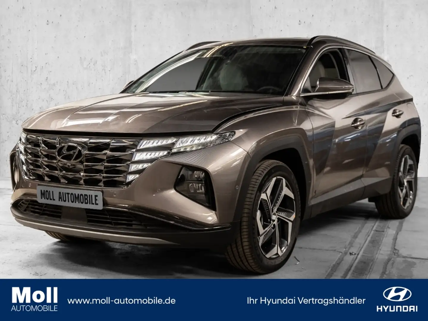 Hyundai TUCSON Prime Plug-In Hybrid 4WD  Panorama Navi Leder digi Bronce - 1