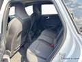 Audi A5 Avant TFSI 150 PS S tronic - S line - MATRIX Weiß - thumbnail 13