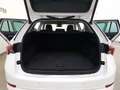 Skoda Octavia Combi 2,0 TDI DSG Style Plus Matrix VirtualCockpit Weiß - thumbnail 12