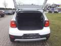 Volkswagen Polo CrossPolo 1,2 BMT +Shzg+PDC v+h +++ Blanc - thumbnail 10