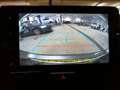 Mazda 2 HYBRID HOMURA Rückfahrkamera - Berganfahrhilfe Grau - thumbnail 22