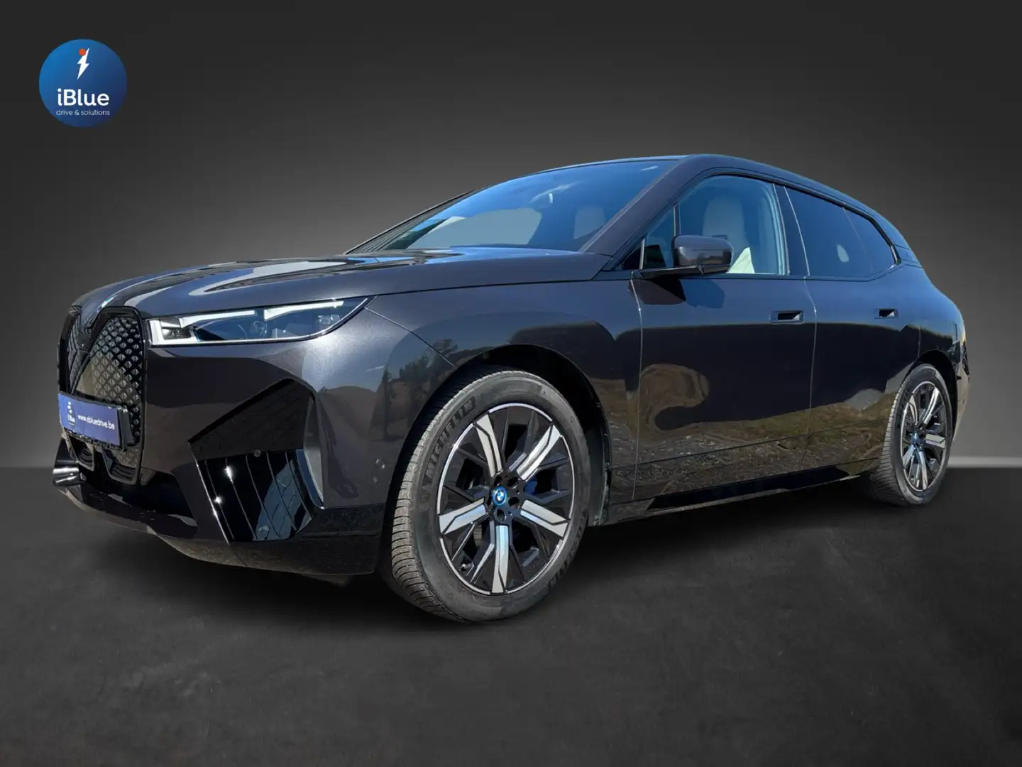 BMW iX iX 111.5 kWh xDrive50 Gris - 1