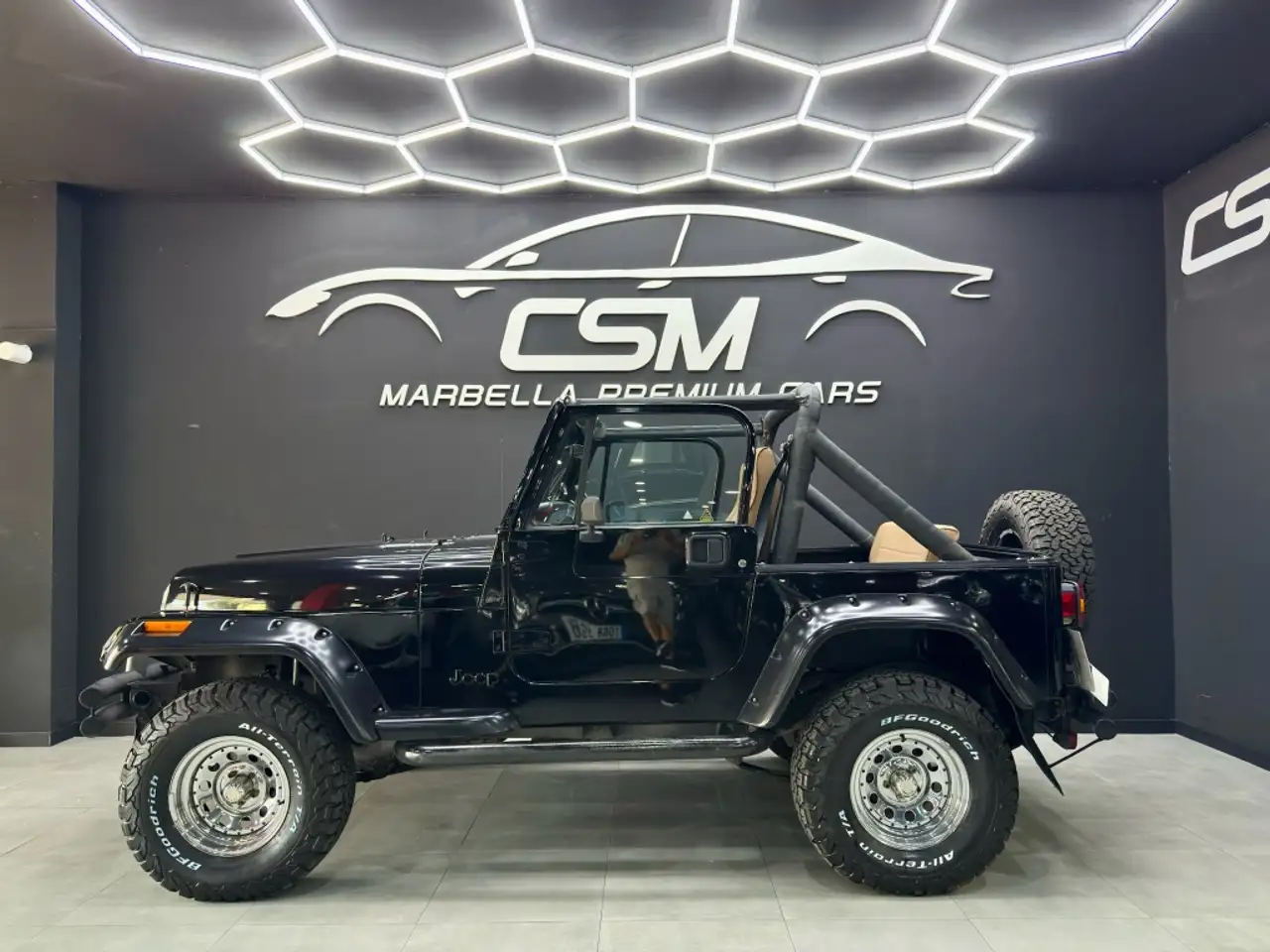 Jeep Wrangler YJ Aut., foto 4