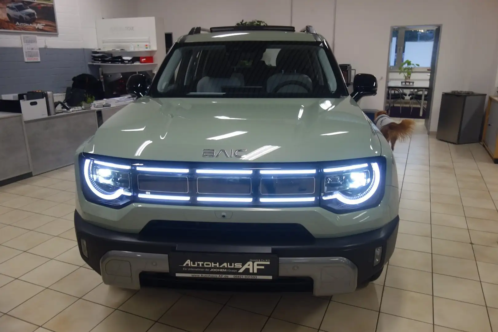 BAIC BJ30 BJ30 4WD HEV Grün - 2