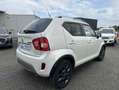 Suzuki Ignis 1.2 DUALJET HYBRID 83CH PRIVILEGE Alb - thumbnail 4