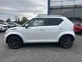 Suzuki Ignis 1.2 DUALJET HYBRID 83CH PRIVILEGE Alb - thumbnail 7