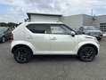Suzuki Ignis 1.2 DUALJET HYBRID 83CH PRIVILEGE Alb - thumbnail 6