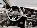Alfa Romeo Giulia 2.0T 280 GME AWD Veloce | 19" Velgen | Panoramadak Noir - thumbnail 28