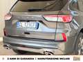Ford Kuga 1.5 ecoblue st-line 2wd 120cv Gris - thumbnail 17