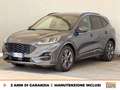 Ford Kuga 1.5 ecoblue st-line 2wd 120cv Gris - thumbnail 1