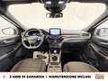 Ford Kuga 1.5 ecoblue st-line 2wd 120cv Gris - thumbnail 10