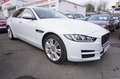 Jaguar XE 25T Portfolio *nur 8.300KM*1.Hand*TOP Ausst. Weiß - thumbnail 10