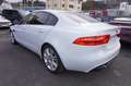 Jaguar XE 25T Portfolio *nur 8.300KM*1.Hand*TOP Ausst. Weiß - thumbnail 6