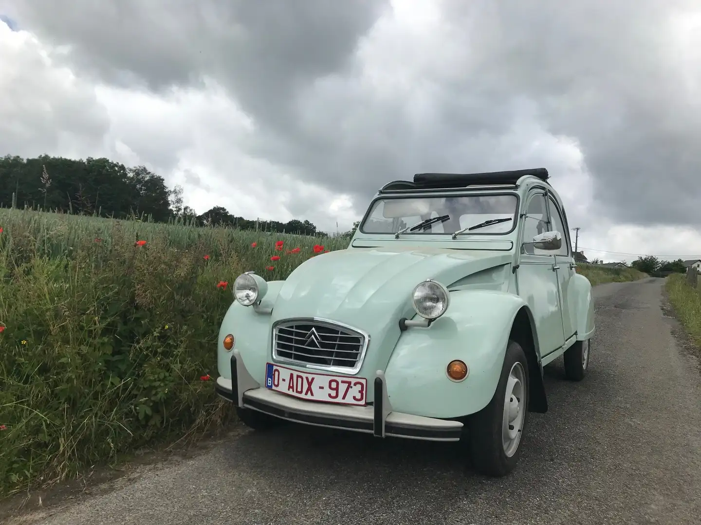 Citroen 2CV 2CV6 Spécial Vert - 2