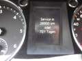Volkswagen Passat CC Passat CC 2,0 TDI DPF DSG Highline Sky Gris - thumbnail 22