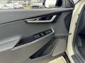 Kia EV6 Plus Advance. 77.4 kWh VRD MODEL Beige - thumbnail 10