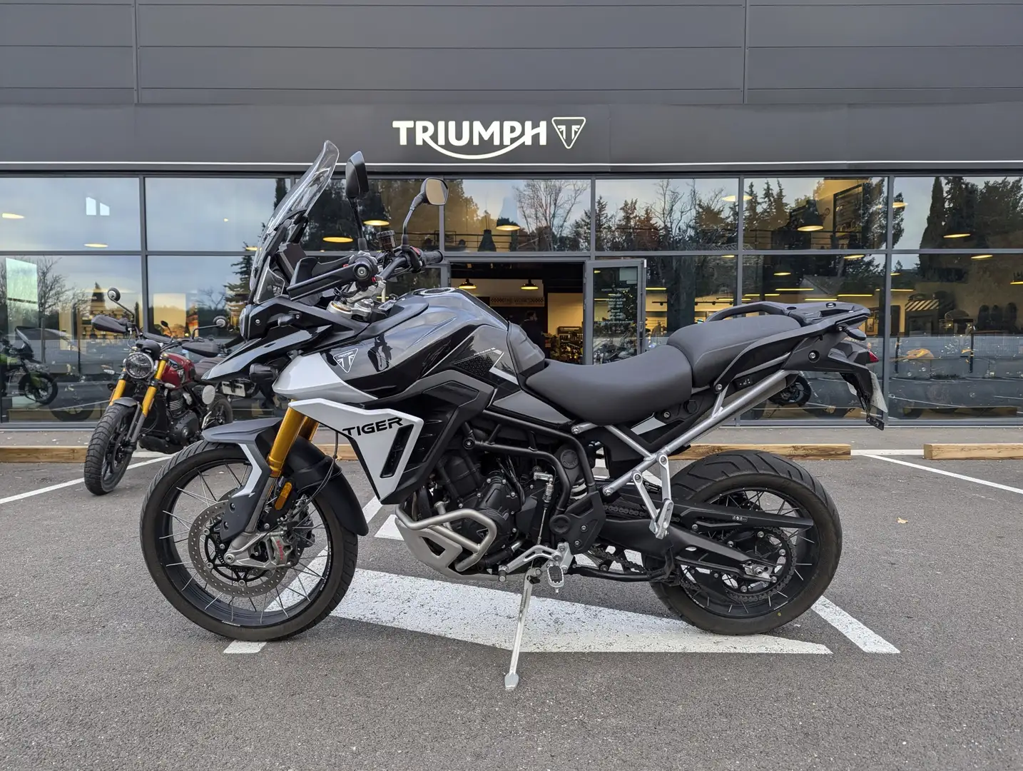 Triumph Tiger 900 - 2
