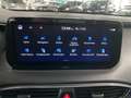 Hyundai SANTA FE Prime 4WD Diesel HUD 360 Leder ACC NAV Grau - thumbnail 33