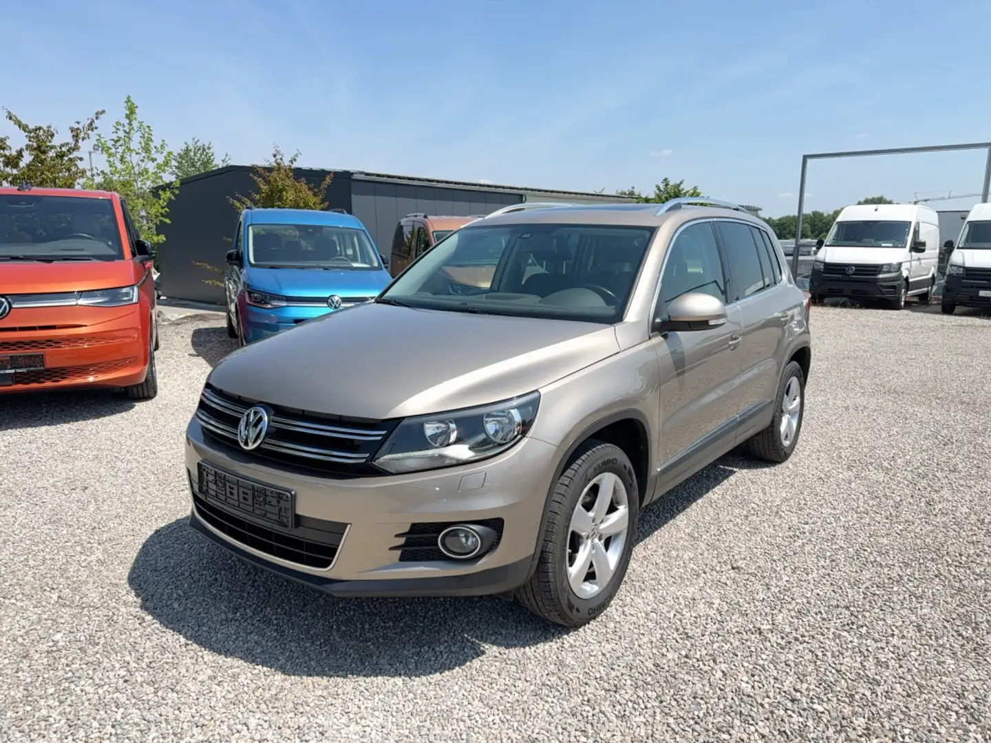 Volkswagen Tiguan TSi Sport & Style nur für Gewerbe und Export Sport Beige - 2