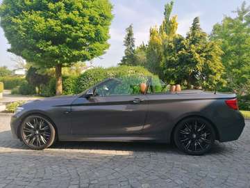 230i Cabrio M Sport Aut. M Sport