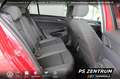 Volkswagen Golf VIII 1.5 TSI LED NAVI RFK ACC Bluetooth Klima Rot - thumbnail 25
