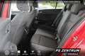 Volkswagen Golf VIII 1.5 TSI LED NAVI RFK ACC Bluetooth Klima Rot - thumbnail 14