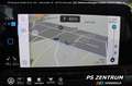 Volkswagen Golf VIII 1.5 TSI LED NAVI RFK ACC Bluetooth Klima Rot - thumbnail 19
