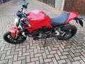Ducati Monster 1200 Standard Rouge - thumbnail 3