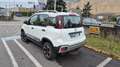 Fiat Panda 0.9 TwinAir  4x4 CROSS Bianco - thumbnail 7