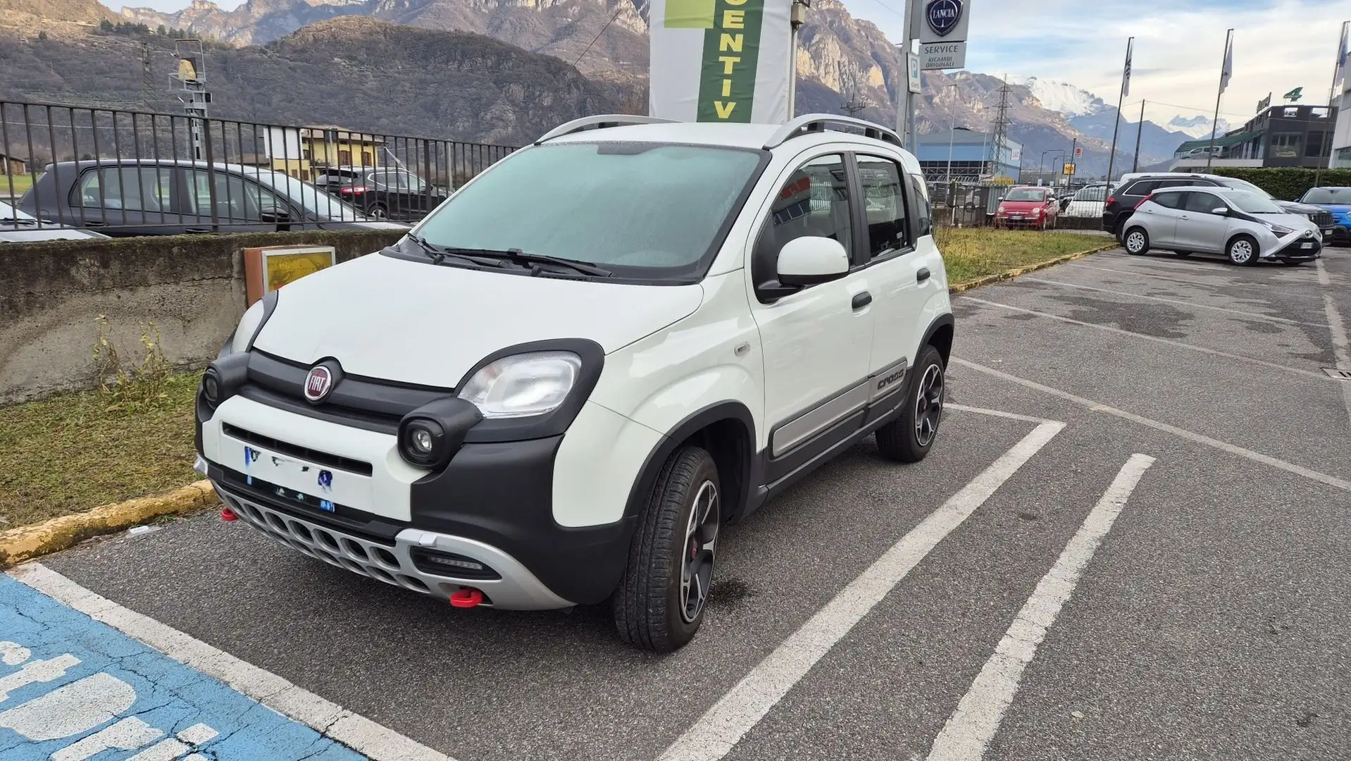 Fiat Panda 0.9 TwinAir  4x4 CROSS Bianco - 2