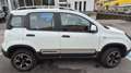 Fiat Panda 0.9 TwinAir  4x4 CROSS Bianco - thumbnail 11