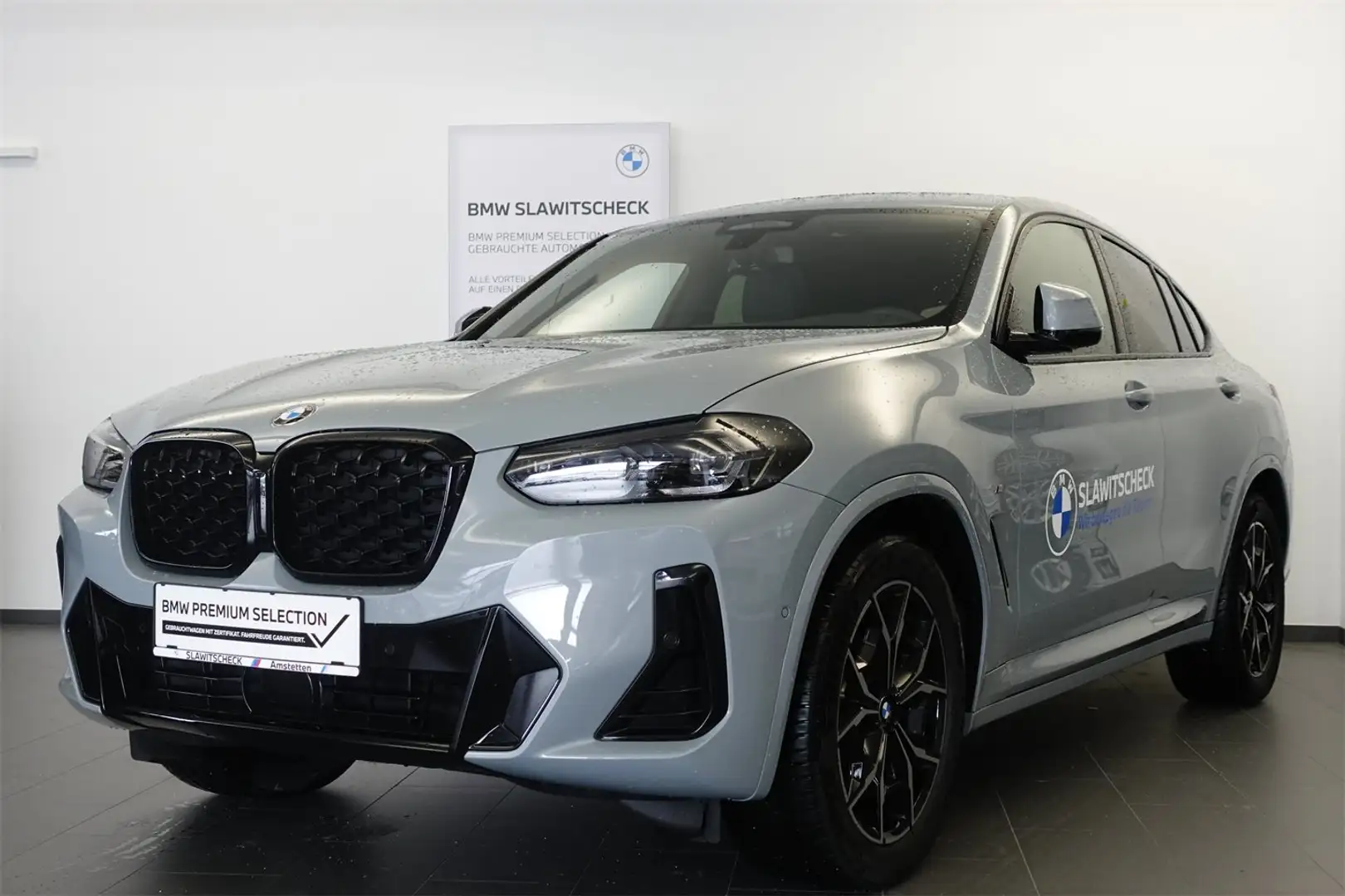 BMW X4 X4 xDrive20d M-Sportpaket Šedá - 1