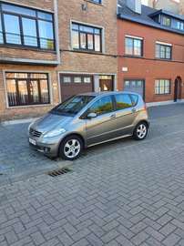 Autotronic Elegance Polar Star