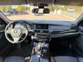 BMW 525 d xDrive Touring Luxury PREZZO REALE Plateado - thumbnail 12