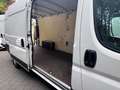 Fiat Ducato Auto. L4H2 180 Multijet Maxi|LED|Kamera| Weiß - thumbnail 17