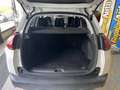 Peugeot 2008 1.5 BlueHDI S&S Allure 100 Blanco - thumbnail 15