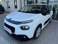 Citroen C3 N1 1.5 Bluehdi 100cv Business 6M Autocarro 4 Posti Blanc - thumbnail 10